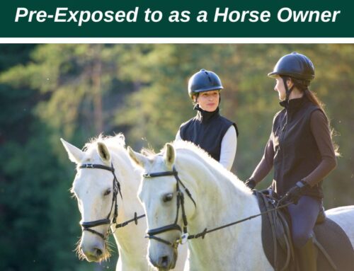What Financial Risks Are You Pre-Exposed to as a Horse Owner
