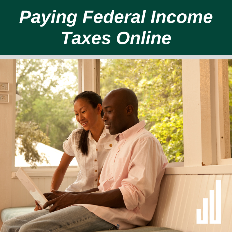 Paying Federal Income Taxes Online Cover Art